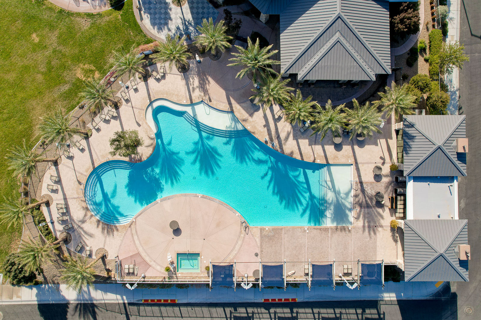 Aerial view of the outdoor resort-style pool with palm trees and shaded lounge chairs at Regency at Summerlin