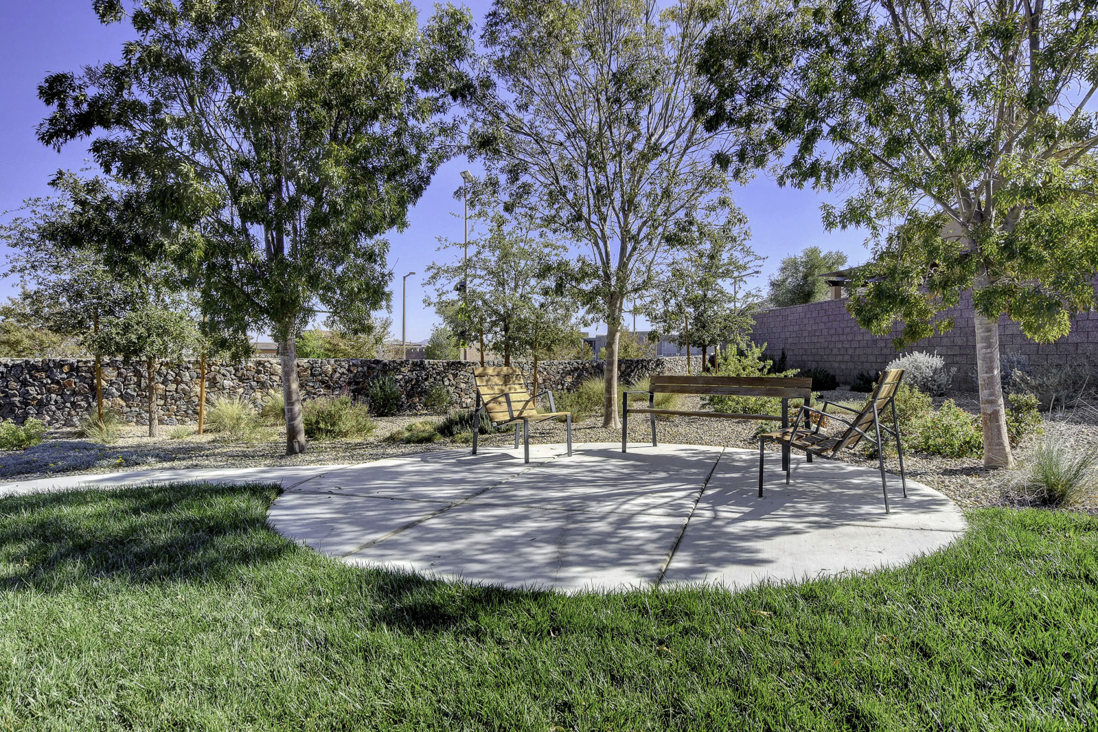 Shaded seating area with benches and chairs among trees at Regency at Summerlin