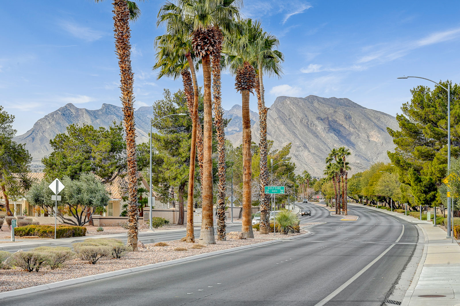 Palm tree-lined residential street in Sun City Summerlin, Las Vegas, Nevada