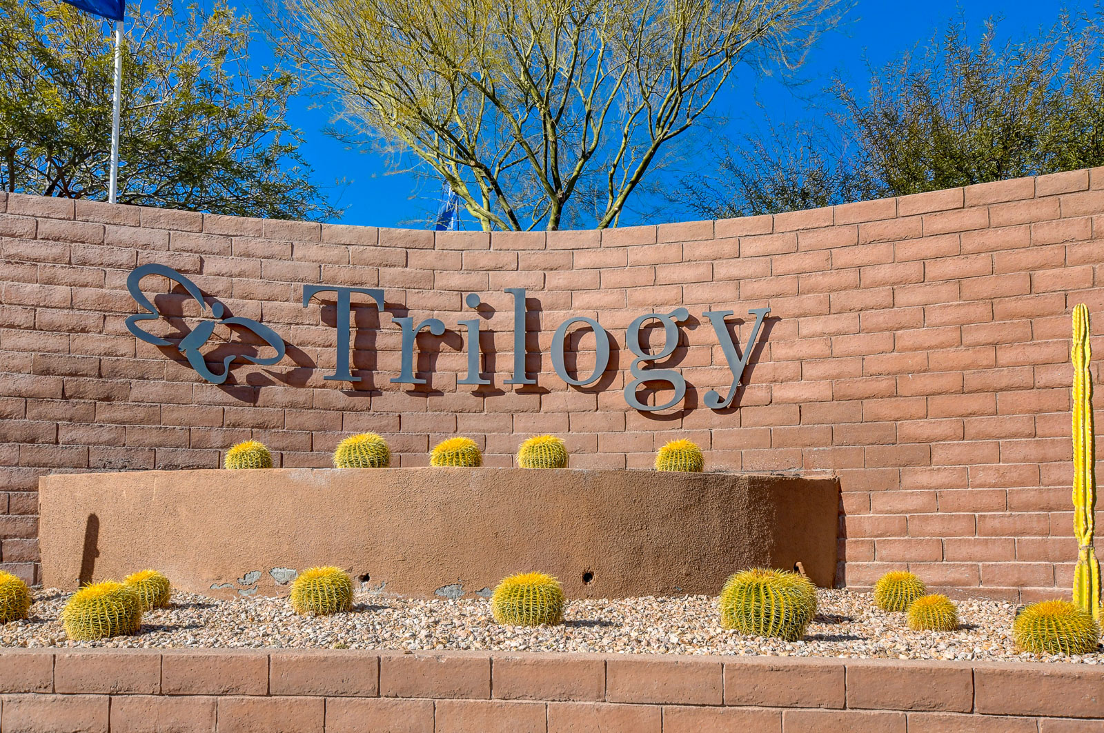 Trilogy in Summerlin monument entrance sign with desert landscaping and cactus garden in Las Vegas, Nevada